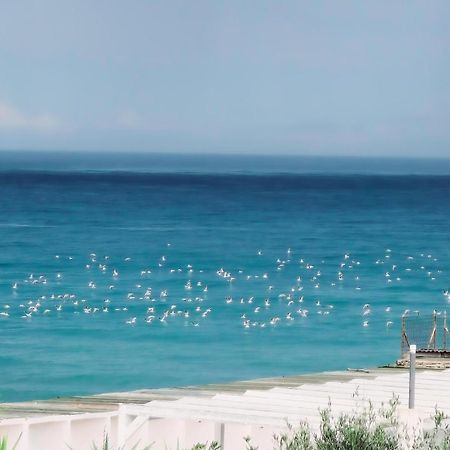 Bed and Breakfast Kale Giovinazzo Exterior foto